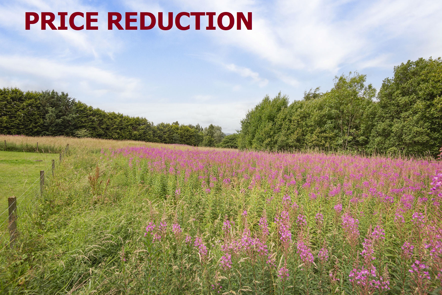 Development Opportunity,, Beech Hill Road, Coupar Angus Thorntons